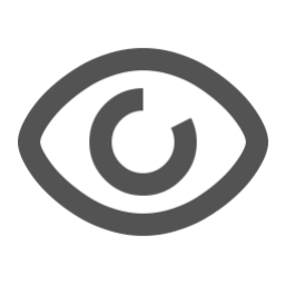 P2link vision P2link vision